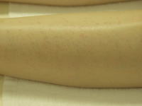 ���[�U�[�E�сE�i�v�E��