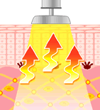 CET�i���M�@�j